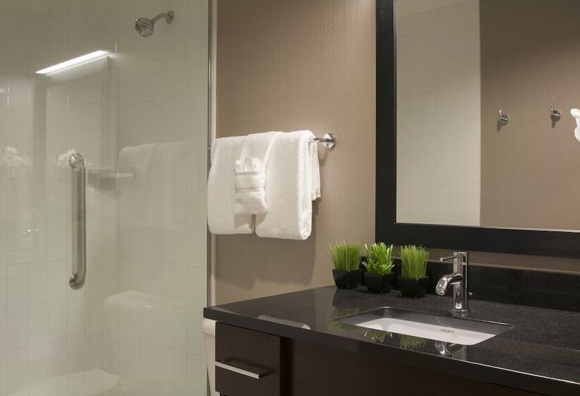 Студия Стандарт Двуспальная Кровать, Homewood Suites By Hilton Denver Downtown Convention Center