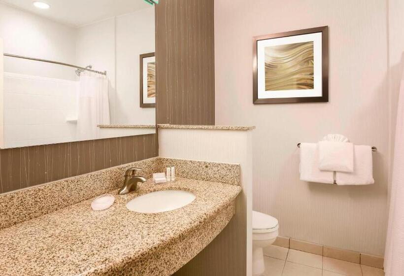 스탠다드 룸 킹사이즈 침대, Courtyard By Marriott Dallas Arlington South