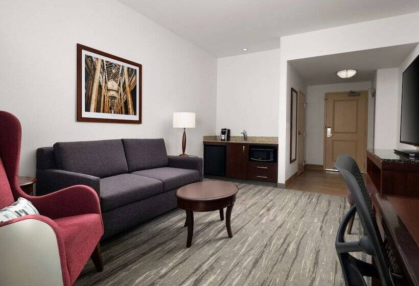Номер Стандарт Адаптированный для Инвалидов, Hilton Garden Inn Ann Arbor