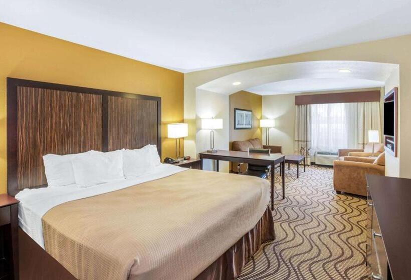 Номер Deluxe Адаптированный для Инвалидов, La Quinta Inn & Suites By Wyndham Floresville