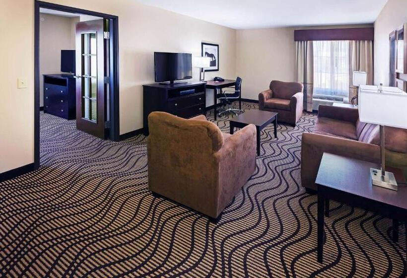 Люкс Кровать Кинг, La Quinta Inn & Suites By Wyndham Floresville