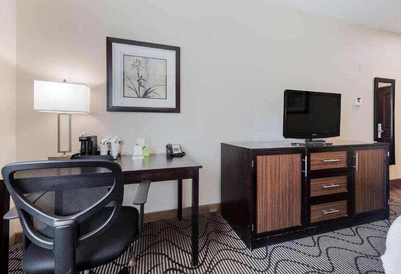 Стандартный Номер Кровать Кинг, La Quinta By Wyndham Auburn