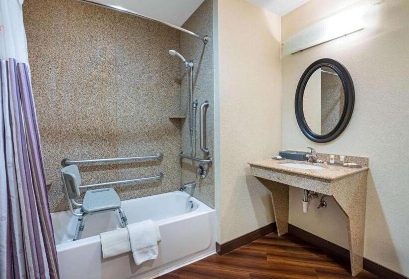Номер Стандарт Кровать Кинг Адаптированный для Инвалидов, La Quinta By Wyndham Auburn