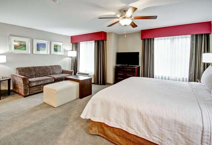 스탠다드 스튜디오, Home2 Suites By Hilton Jackson/ridgeland, Ms
