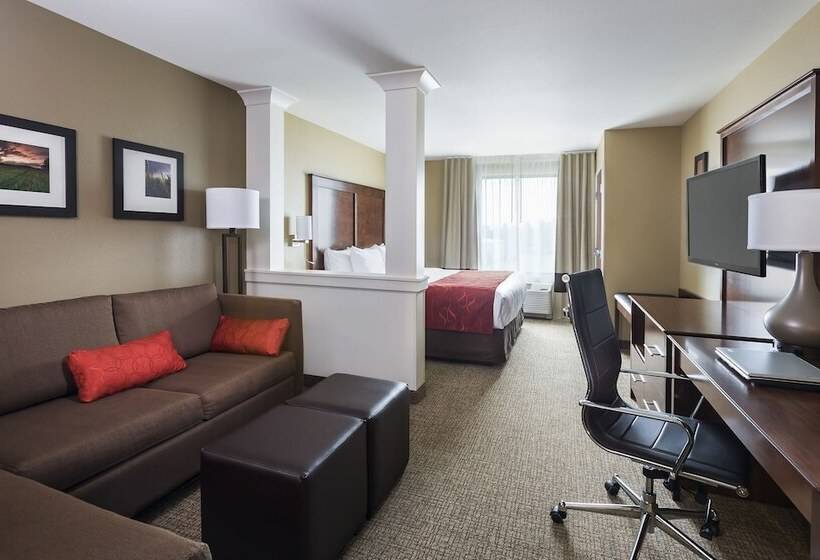 Люкс Адаптированный для Инвалидов, Comfort Suites Medical Center