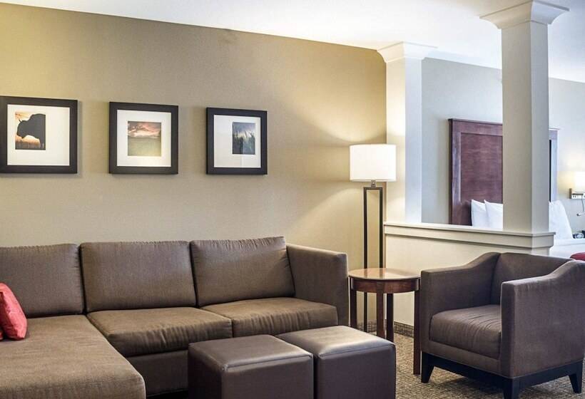 Люкс Адаптированный для Инвалидов, Comfort Suites Medical Center