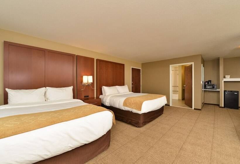 Люкс Адаптированный для Инвалидов, Comfort Suites