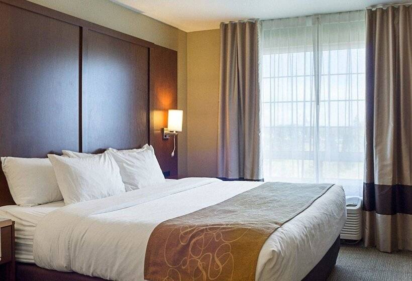 Люкс, Comfort Suites