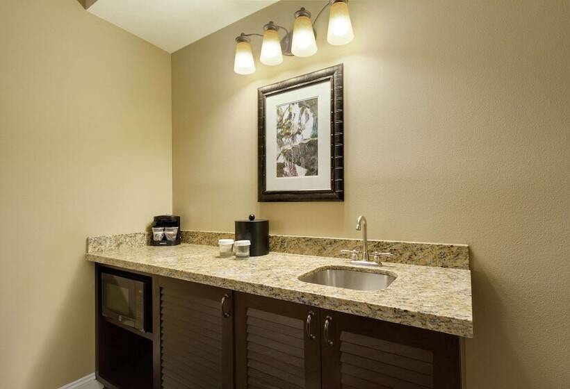 סוויטת פרמיום, Embassy Suites By Hilton Savannah Historic District