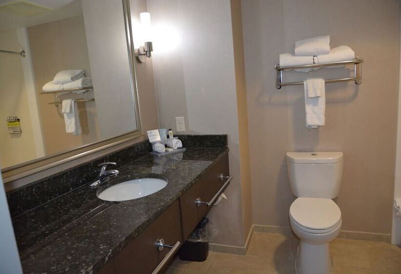 Quarto Estandar, Holiday Inn Express & Suites Caryville, An Ihg