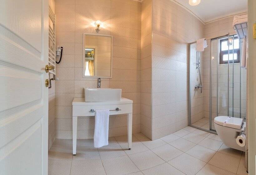 Delüks Oda, Enderun Hotel Istanbul