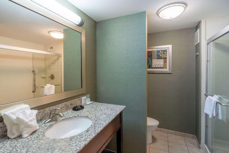 스탠다드 룸 킹사이즈 침대, Hampton Inn Huntington University Area