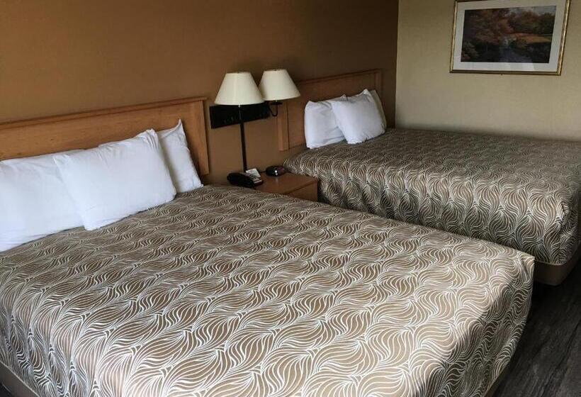 Quarto Estandar, Hometown Innsoddy Daisy