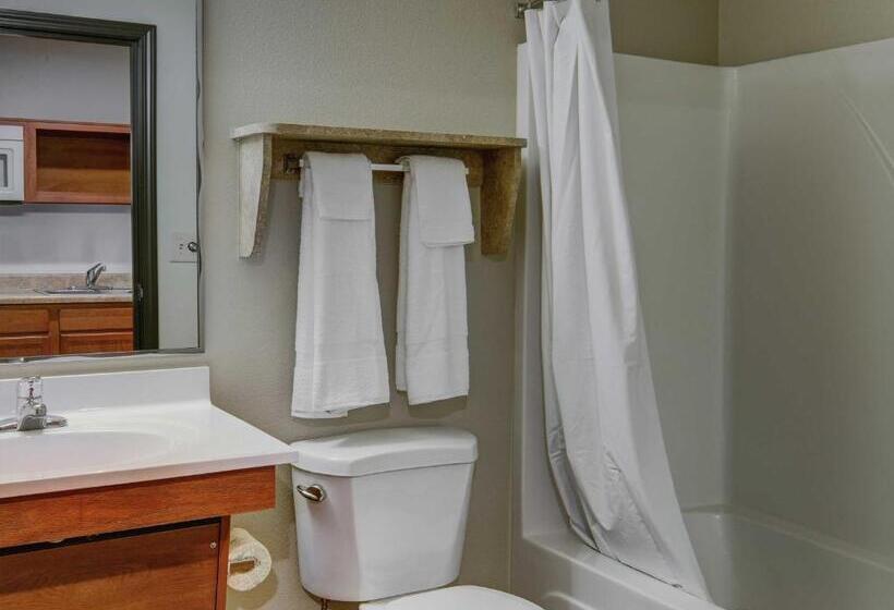 Студия Стандарт, Woodspring Suites College Station