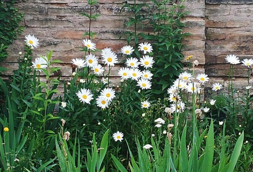 Номер Стандарт Вид на Горы, Au Jardin De La Maison Des Soeurs