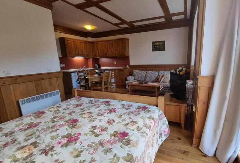 스탠다드 스튜디오 킹침대, Pirin Golf Hotel Private Studios