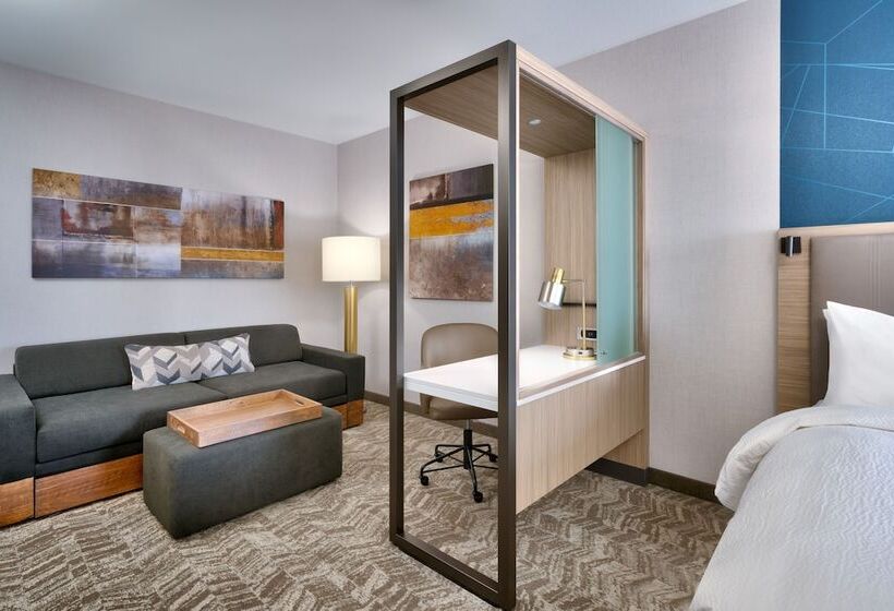 장애인을 위한 스위트, Springhill Suites By Marriott Cottonwood