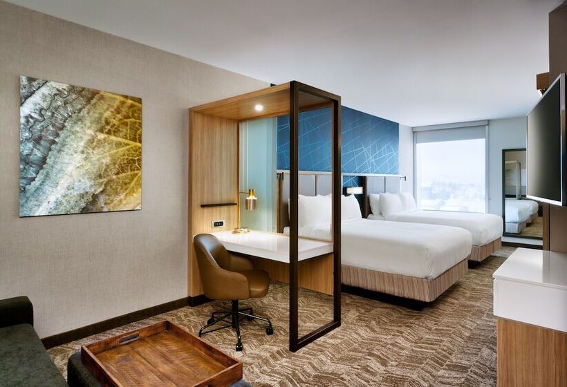 장애인을 위한 스위트, Springhill Suites By Marriott Cottonwood