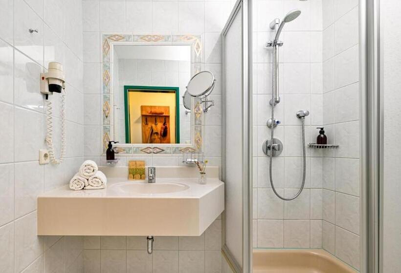 스탠다드 룸, Alphatauern Health Resort   Adults Only 15 Plus