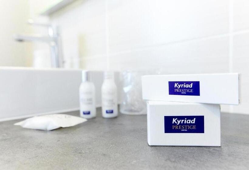 Номер Стандарт Двуспальная Кровать, Kyriad Prestige Vannes Centre  Palais Des Arts
