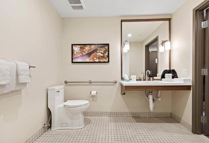 Номер Стандарт Кровать Кинг Адаптированный для Инвалидов, Mountain View Inn & Suites