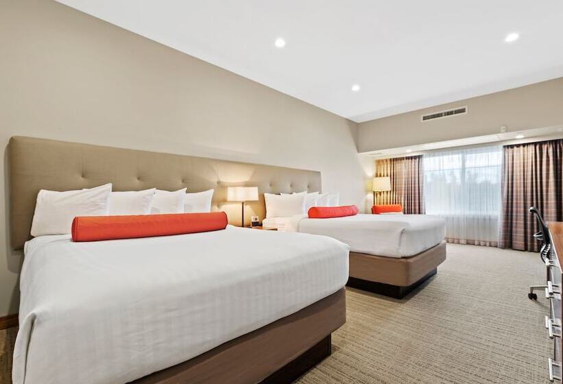 Номер Стандарт, Mountain View Inn & Suites