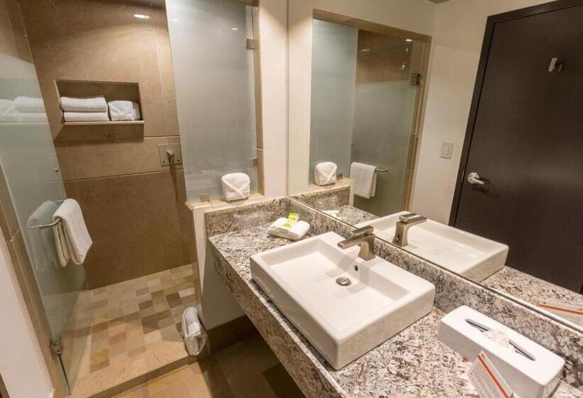 اتاق استاندارد با تخت بزرگ, Holiday Inn Queretaro Zona Krystal, An Ihg