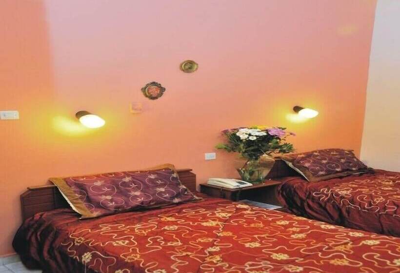 غرفة قياسية, Alexandria