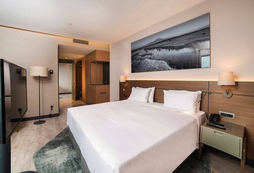 Полулюкс Вид на Горы, Radisson Blu Hotel, Mount Erciyes