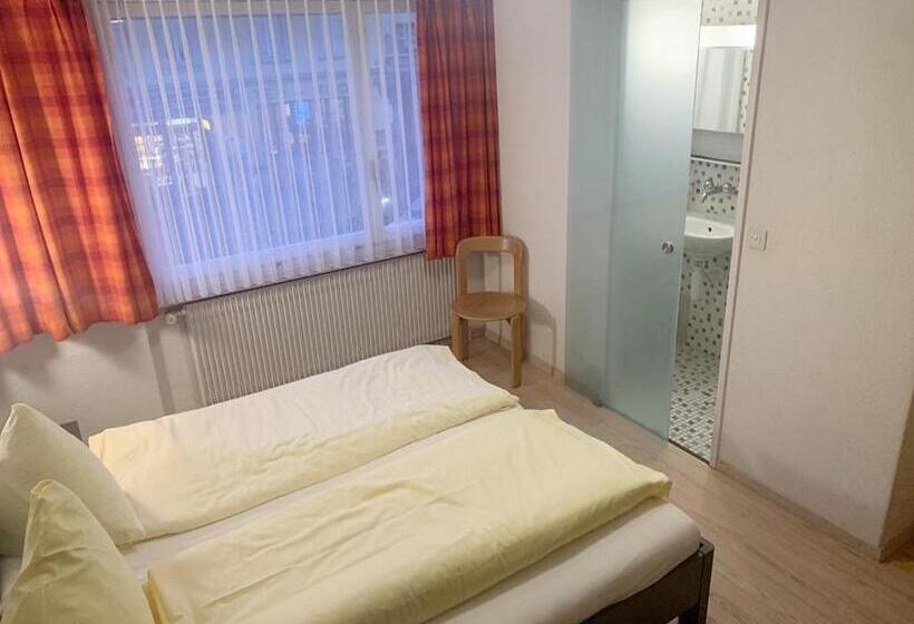 Номер Economy, Rebstock Meiringen