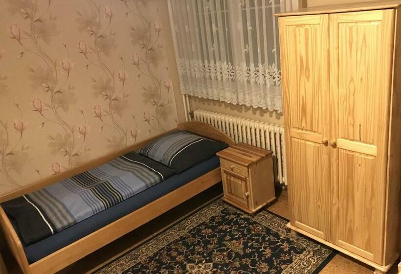 带共用浴室的标准房间, Modrý Pension