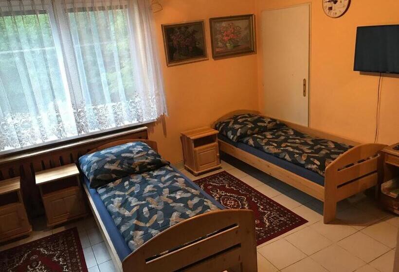浴室共有スタンダード４人用ルーム, Modrý Pension
