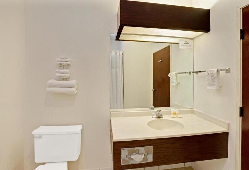 디럭스 스위트 킹 침대, Halsted Inn And Suites Harvey   Chicago Southland