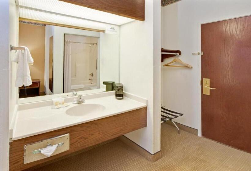 스탠다드 룸 킹사이즈 침대, Halsted Inn And Suites Harvey   Chicago Southland