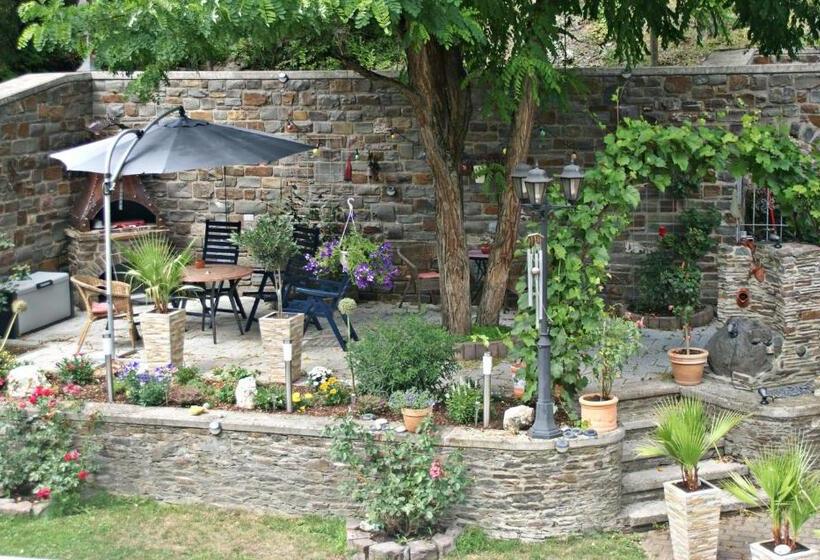 Номер Economy, Pension Belzer