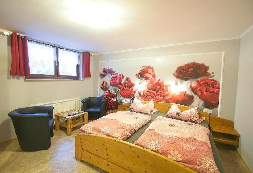 Номер Economy, Pension Belzer