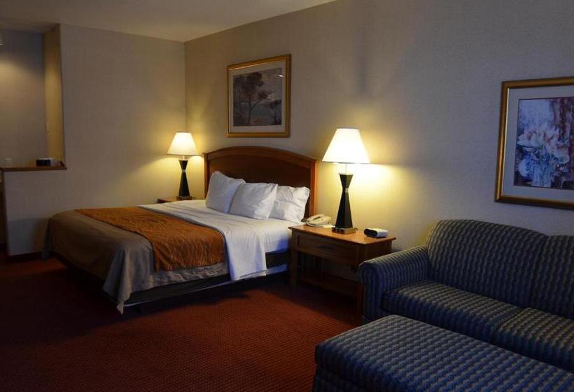 Стандартный Номер Кровать Кинг, Comfort Inn & Suites I 25 Near Spaceport America