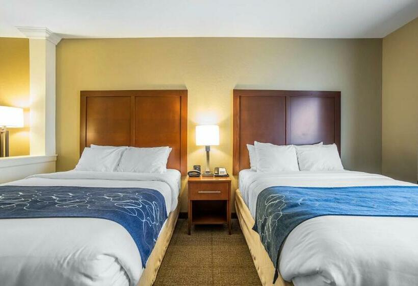 Люкс, Comfort Suites Airportuniversity