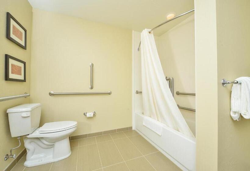 Люкс Адаптированный для Инвалидов, Comfort Suites Airportuniversity