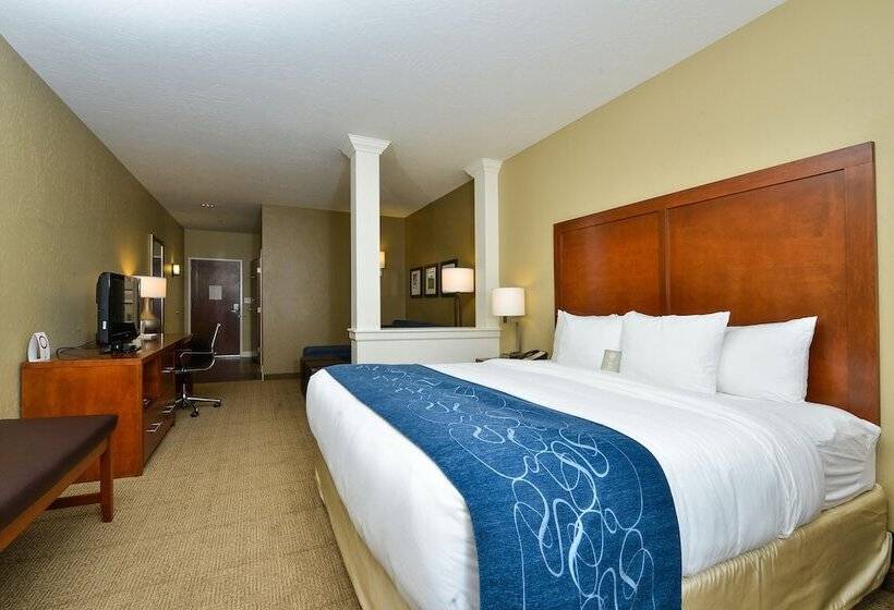 Люкс, Comfort Suites Airportuniversity