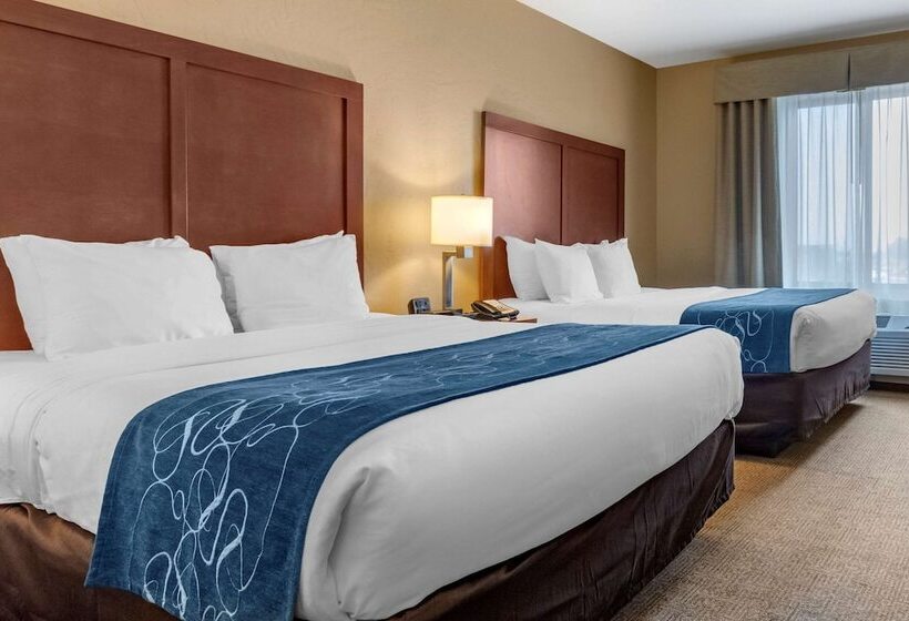 Люкс, Comfort Suites Airportuniversity