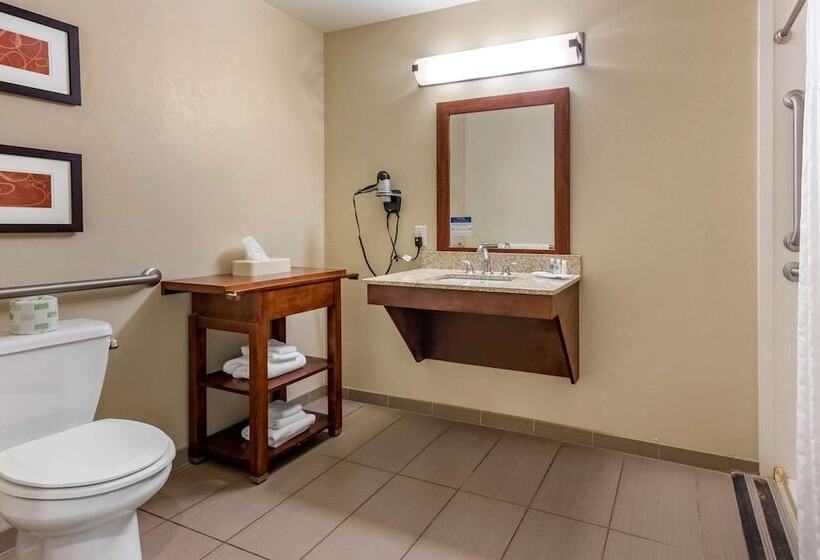 Люкс Адаптированный для Инвалидов, Comfort Suites Airportuniversity