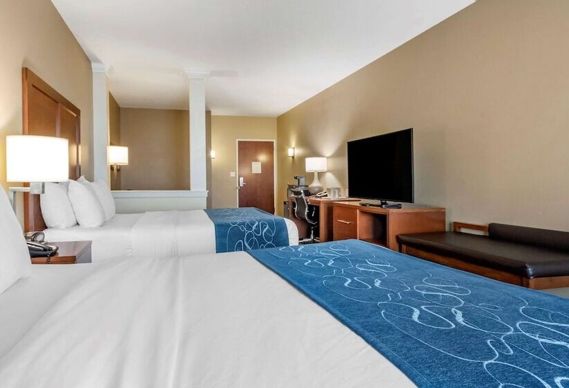 Люкс Адаптированный для Инвалидов, Comfort Suites Airportuniversity