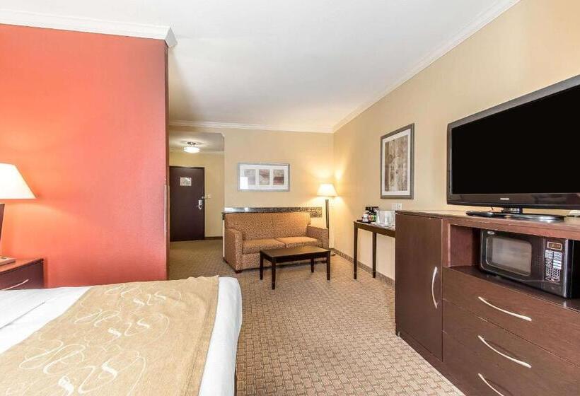 Люкс Адаптированный для Инвалидов, Comfort Suites Lawton Near Fort Sill