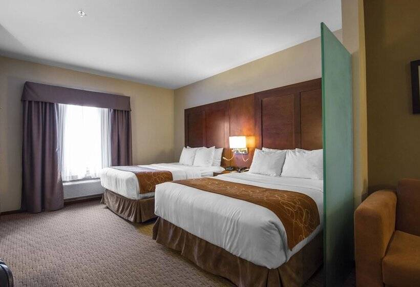 スイート, Comfort Suites