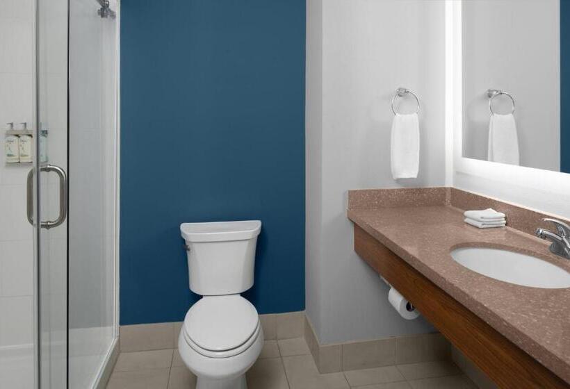 キングサイズベッドのスタンダードルーム, Holiday Inn Express & Suites Midland South I 20, An Ihg