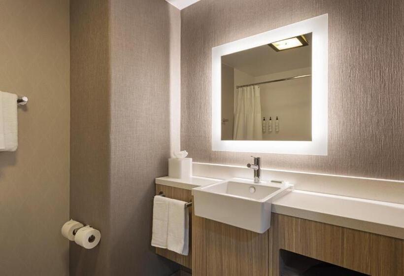套房, Springhill Suites By Marriott Turlock