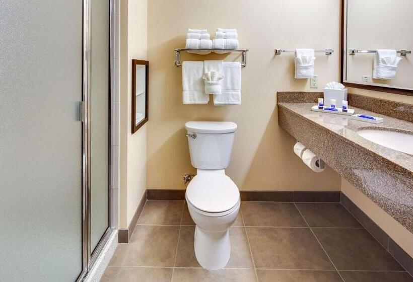 Студио Стандарт Кровать Кинг, Best Western Plus Arlington/marysville