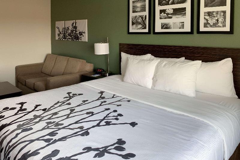 Стандартный Номер Кровать Кинг, Hampton Inn & Suites Decatur