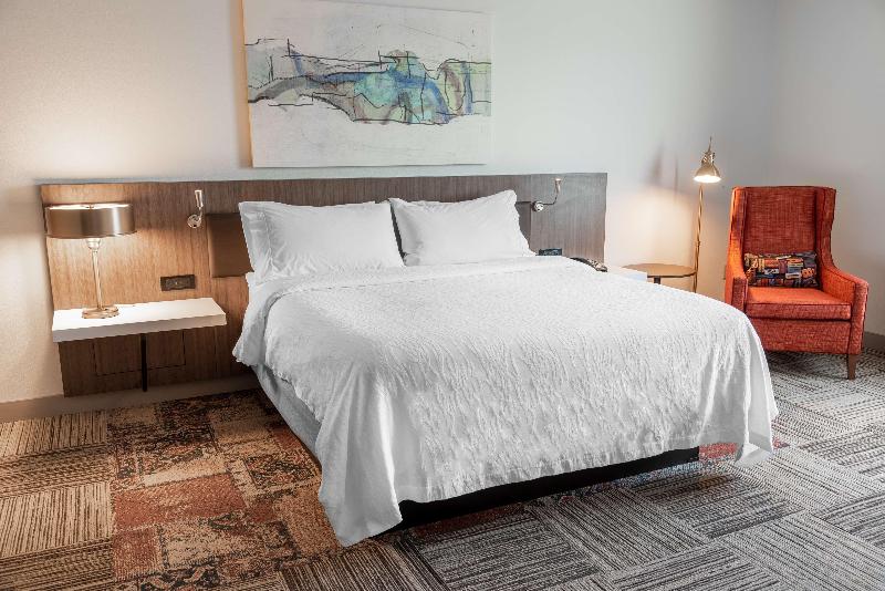 스탠다드 룸 킹사이즈 침대, Hilton Garden Inn North Little Rock